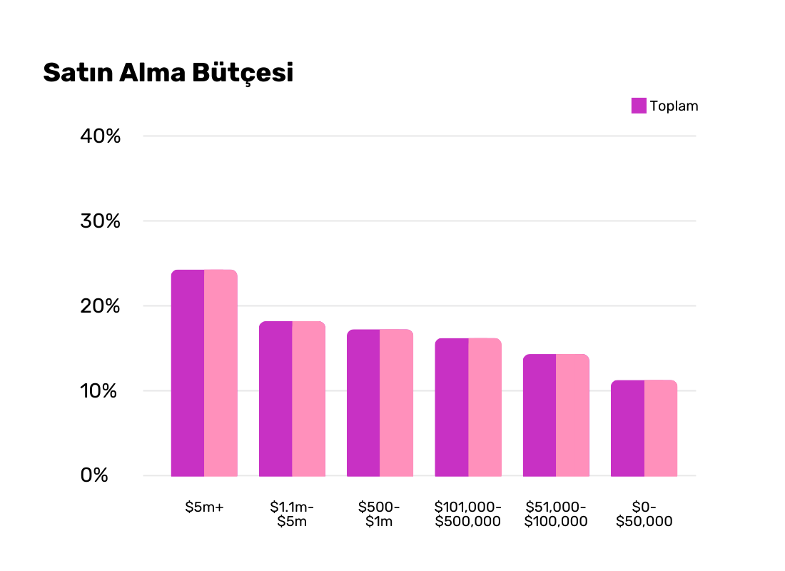Tissue World Istanbul Visitor Purchasing Budget