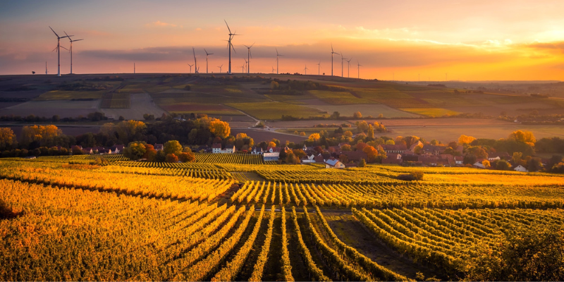 Field and Wind Turbines in the Sun