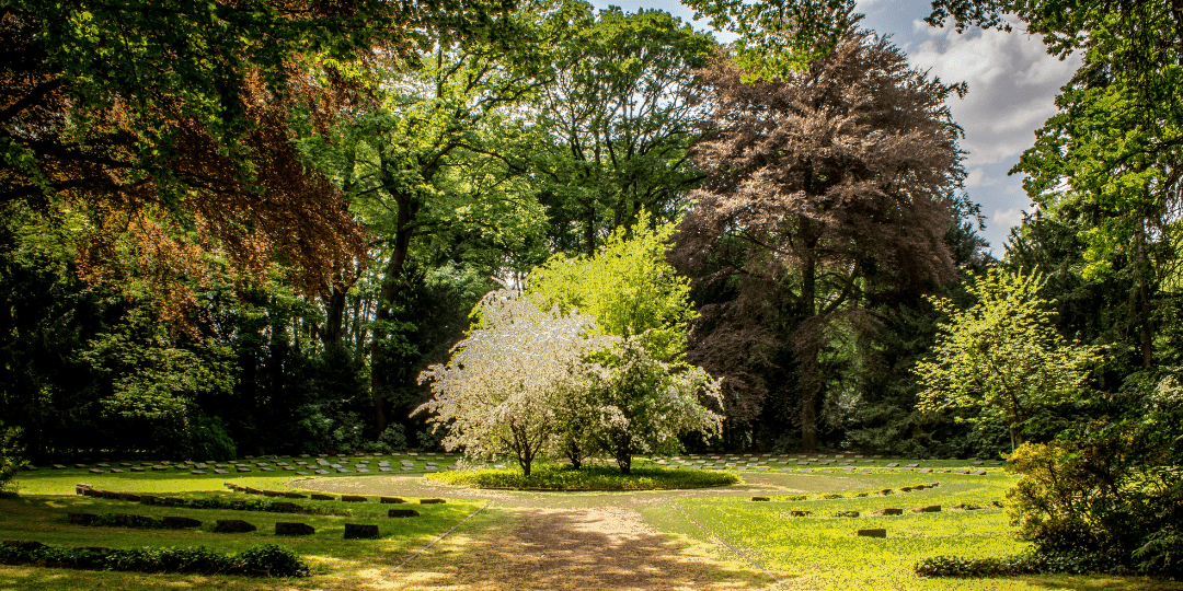 Image of Garden